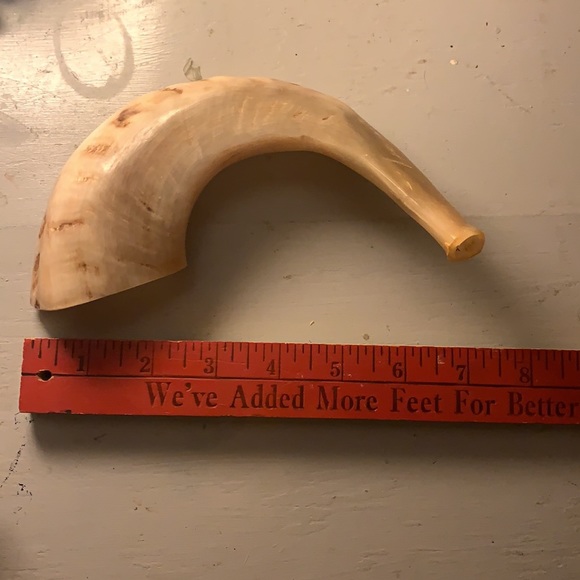 Ram horn - Picture 8 of 9